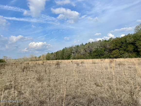 18.5 Acres of Land for Sale in Brookhaven, Mississippi