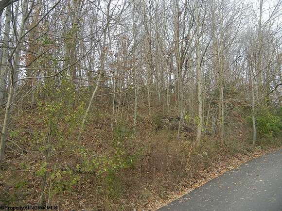 Residential Land for Sale in Morgantown, West Virginia