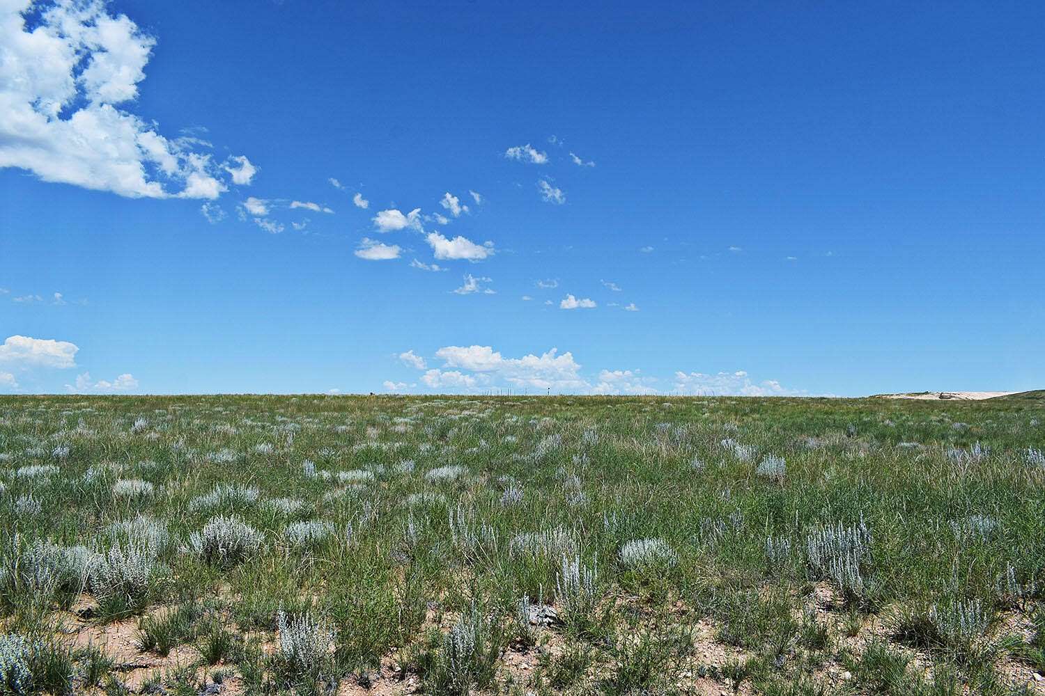 1 Acre of Land for Sale in Moriarty, New Mexico