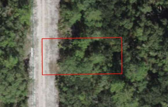 0.12 Acres of Residential Land for Sale in Salt Springs, Florida
