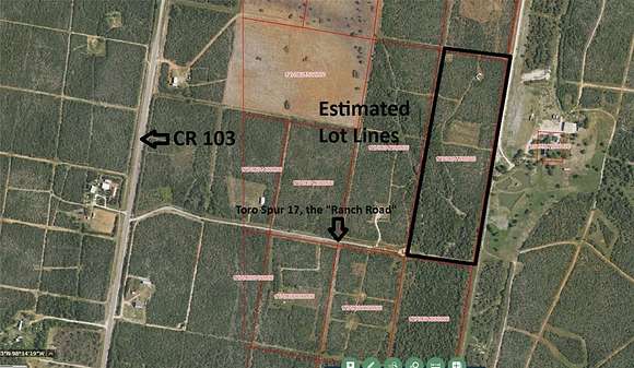 18.2 Acres of Recreational Land for Sale in Alice, Texas