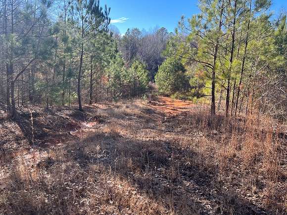 55 Acres of Land for Sale in Water Valley, Mississippi