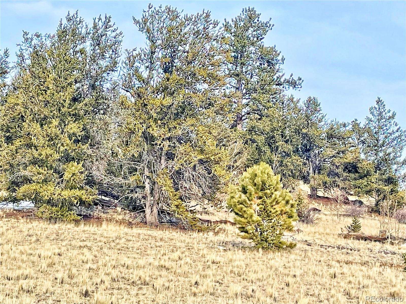 2 Acres of Residential Land for Sale in Como, Colorado