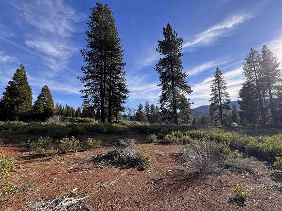 2.5 Acres of Residential Land for Sale in Mount Shasta, California