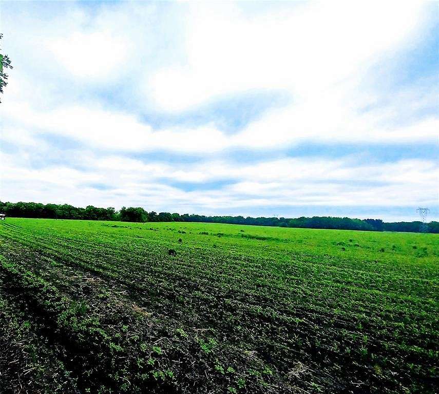 97.7 Acres of Agricultural Land for Sale in Paris, Texas