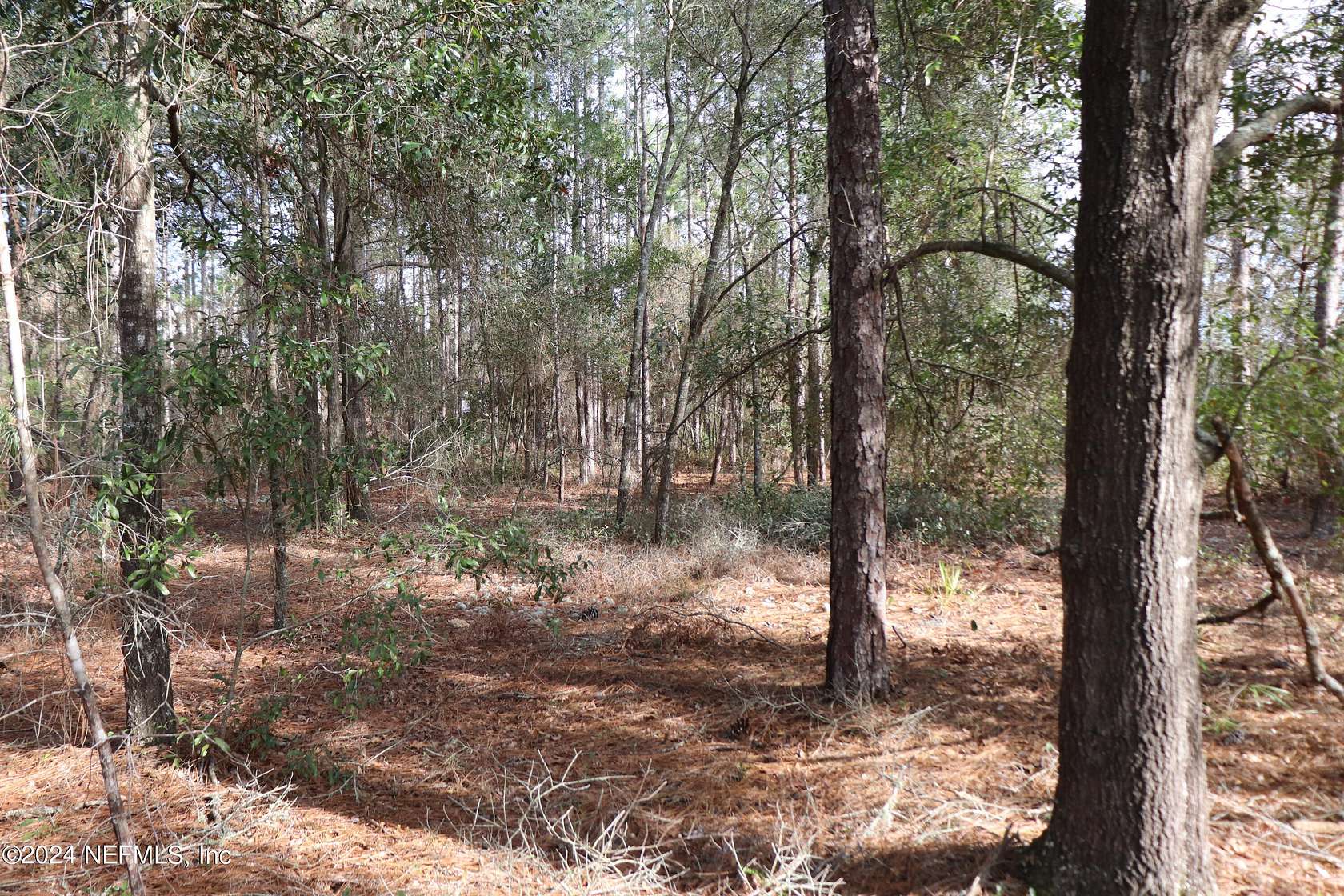 1.3 Acres of Residential Land for Sale in Keystone Heights, Florida