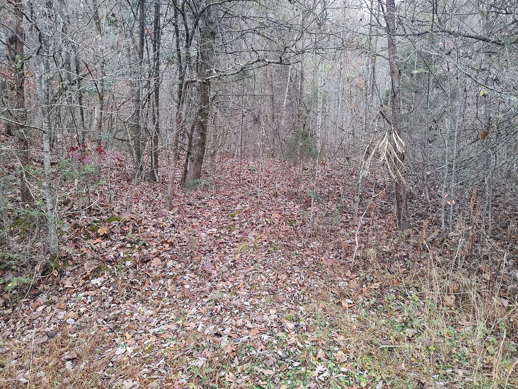 16.7 Acres of Land for Sale in Cosby, Tennessee