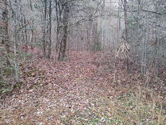 16.7 Acres of Land for Sale in Cosby, Tennessee