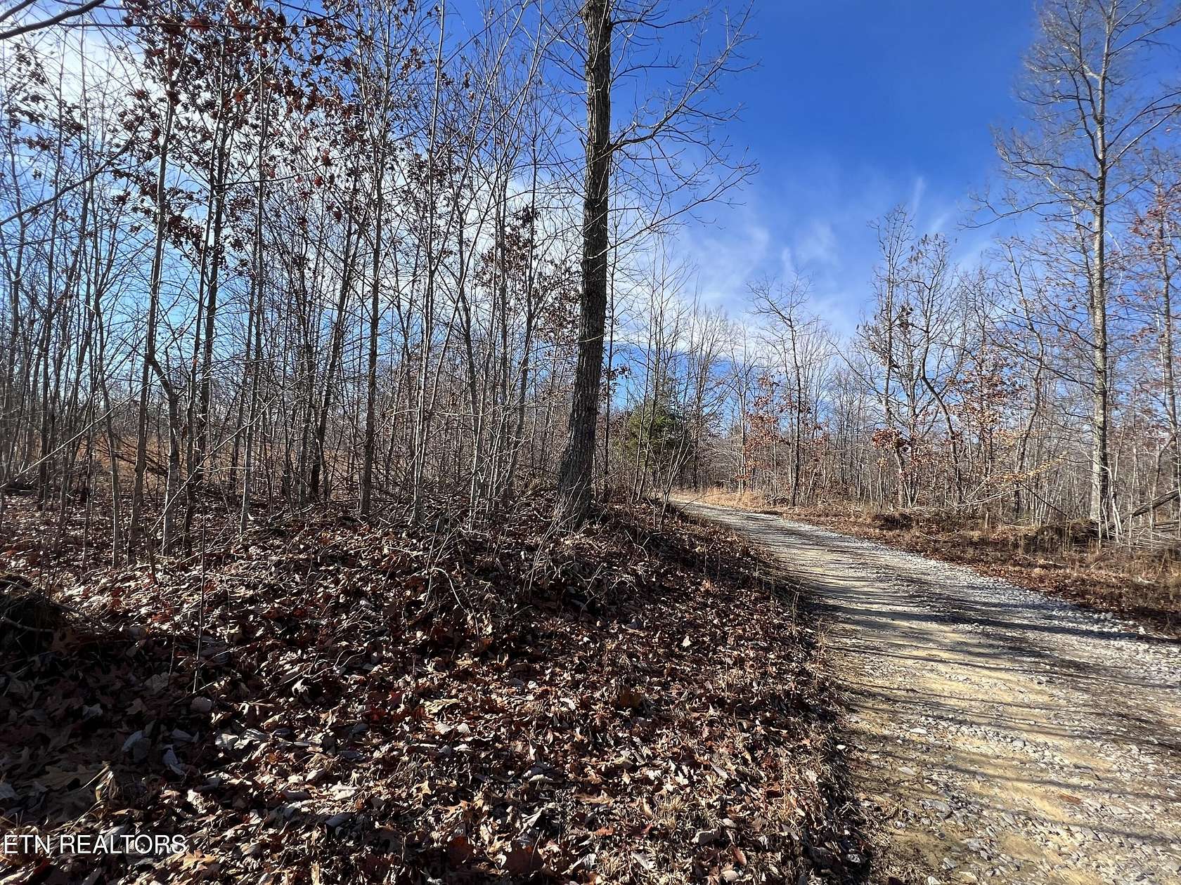 7.35 Acres of Land for Sale in Sunbright, Tennessee