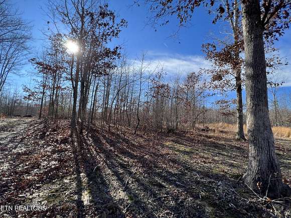 7.4 Acres of Land for Sale in Sunbright, Tennessee