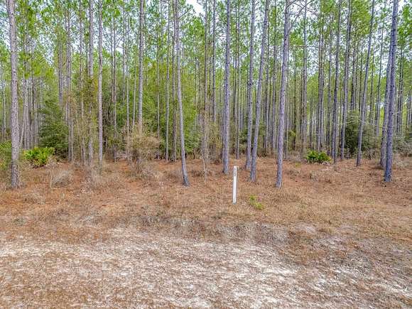 8.13 Acres of Land for Sale in Tallahassee, Florida