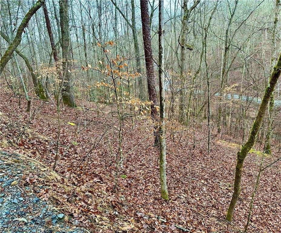 0.51 Acres of Residential Land for Sale in Ellijay, Georgia