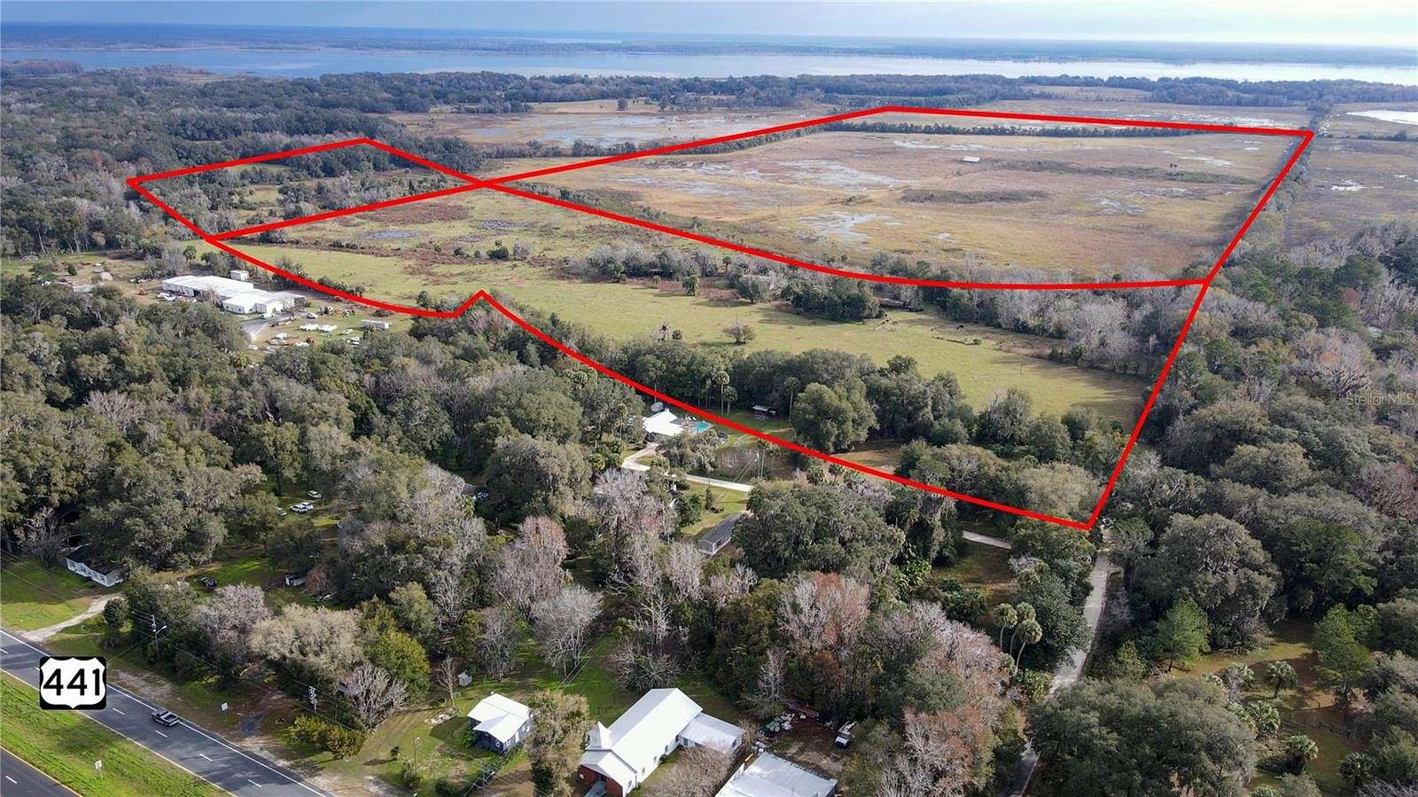 43 Acres of Land for Sale in Micanopy, Florida