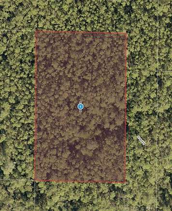1.2 Acres of Residential Land for Sale in Paisley, Florida