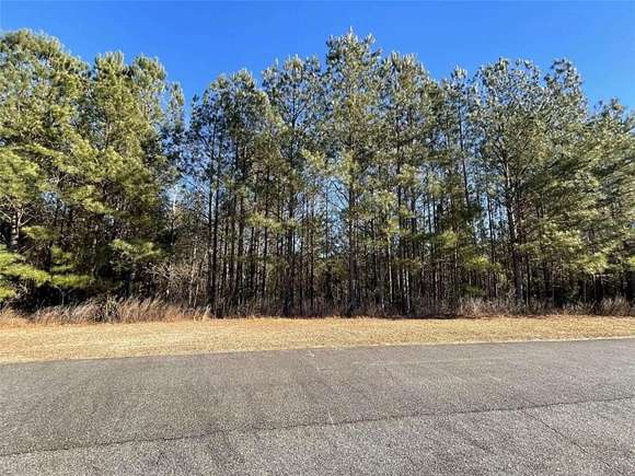1 Acre of Residential Land for Sale in Forsyth, Georgia