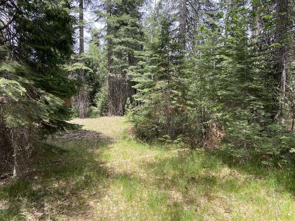 2.51 Acres of Land for Sale in McCloud, California