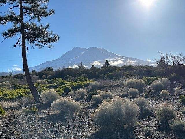 10 Acres of Land for Sale in Weed, California