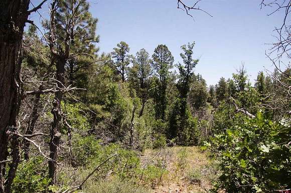 2.37 Acres of Residential Land for Sale in Pagosa Springs, Colorado