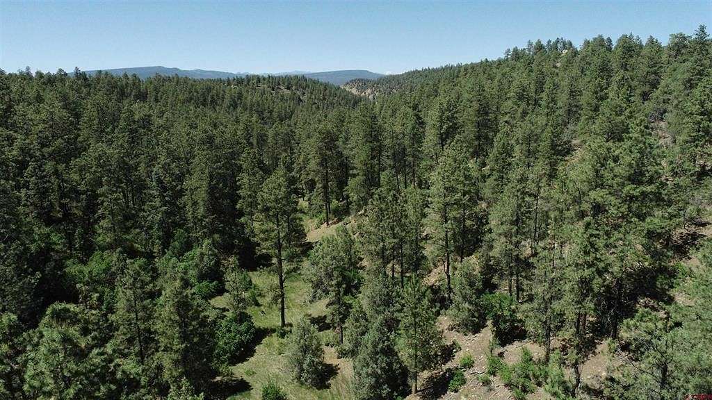 6.31 Acres of Residential Land for Sale in Pagosa Springs, Colorado