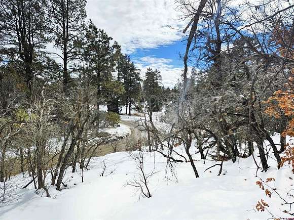 6.3 Acres of Residential Land for Sale in Pagosa Springs, Colorado