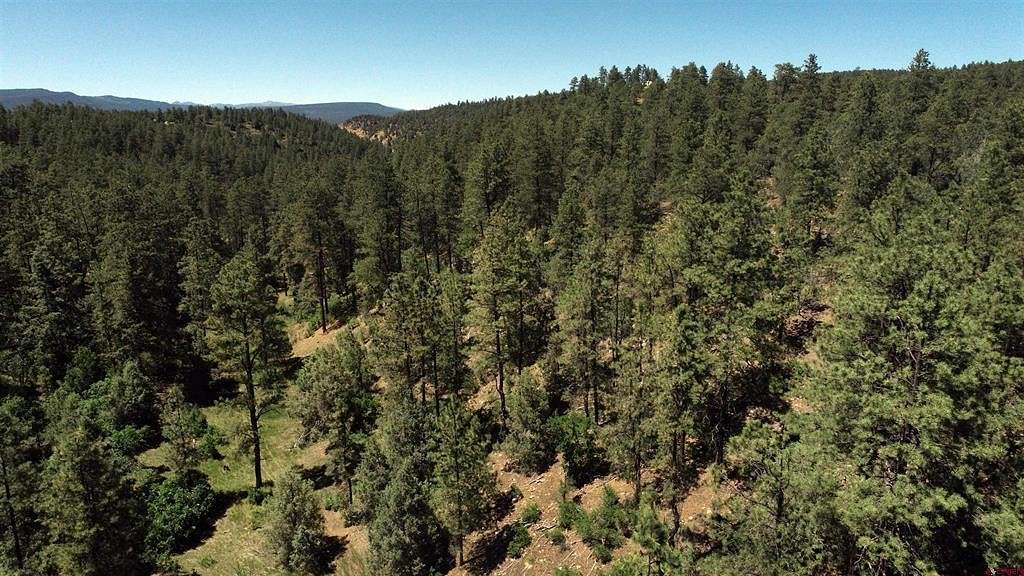 3.94 Acres of Residential Land for Sale in Pagosa Springs, Colorado