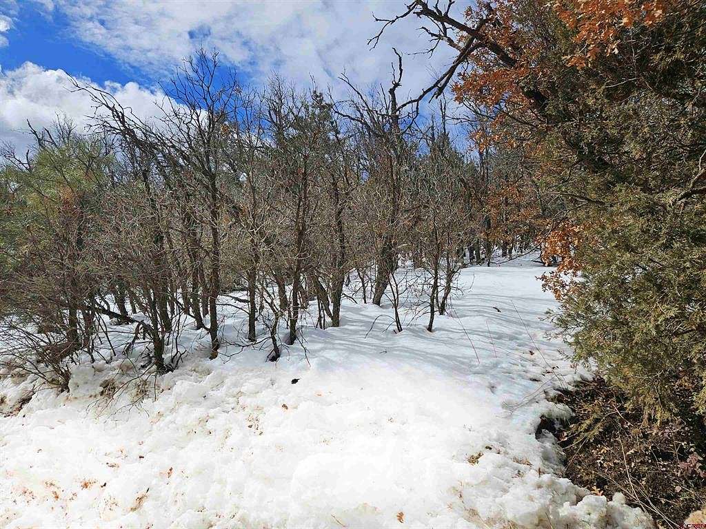 1.4 Acres of Residential Land for Sale in Pagosa Springs, Colorado