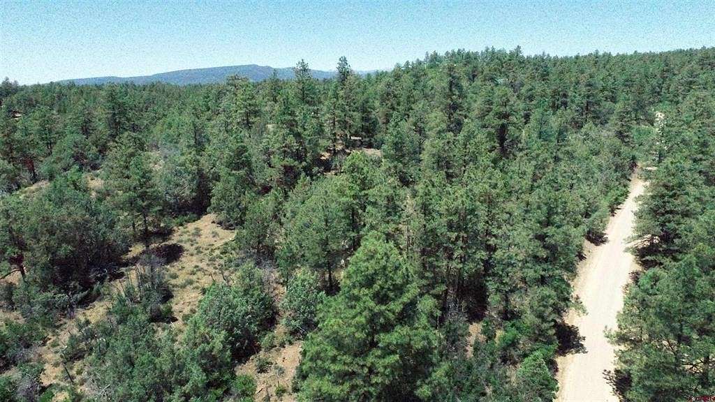 1.36 Acres of Residential Land for Sale in Pagosa Springs, Colorado