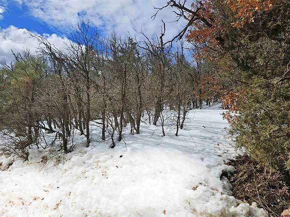 1.4 Acres of Residential Land for Sale in Pagosa Springs, Colorado