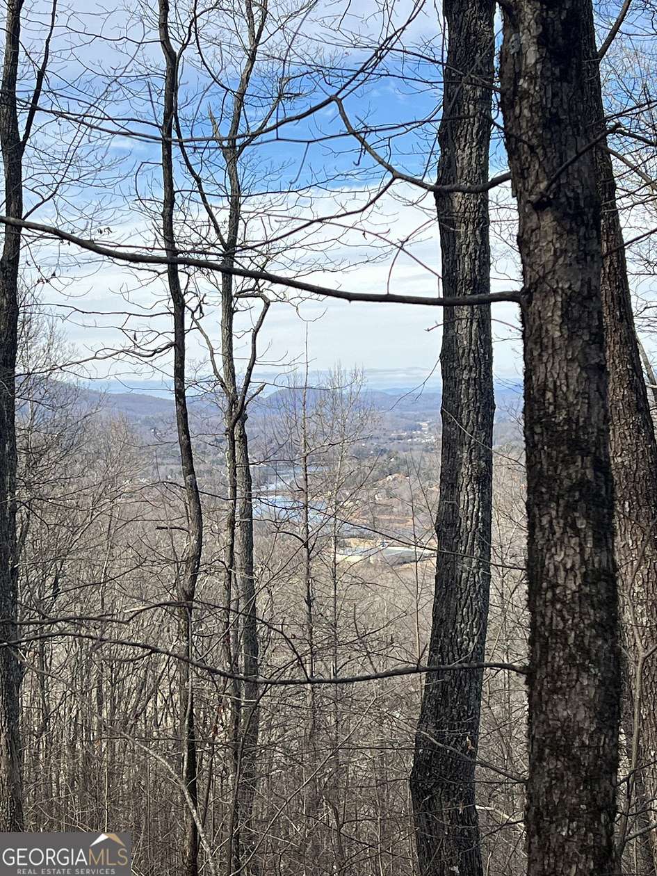 20 Acres of Land for Sale in Hiawassee, Georgia