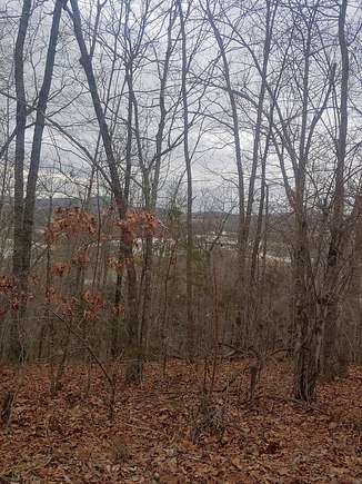 14.2 Acres of Land for Sale in Byrdstown, Tennessee