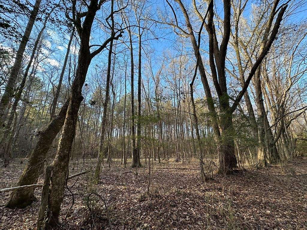 19 Acres of Recreational Land for Sale in Wesson, Mississippi