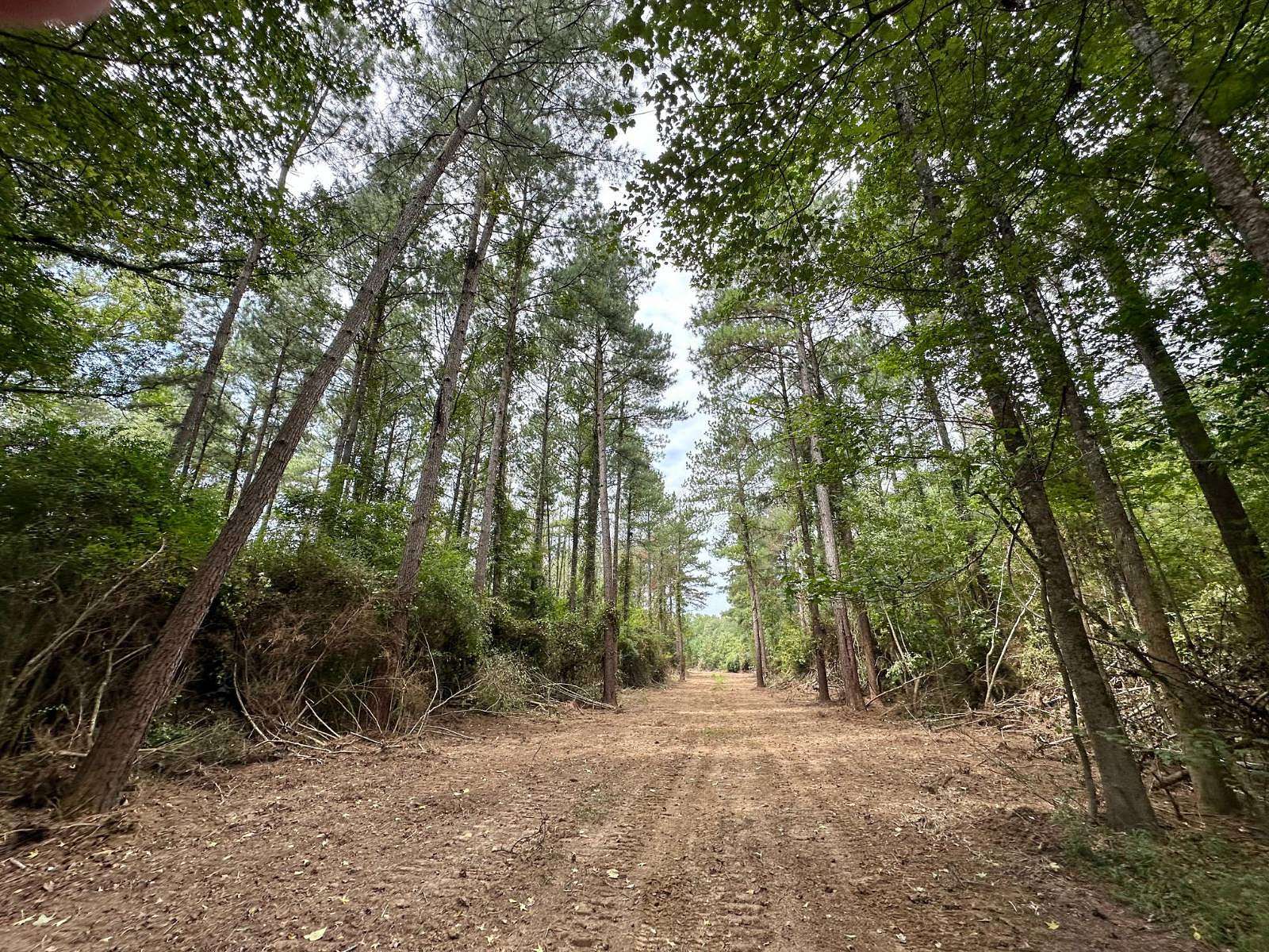 19 Acres of Recreational Land for Sale in Wesson, Mississippi