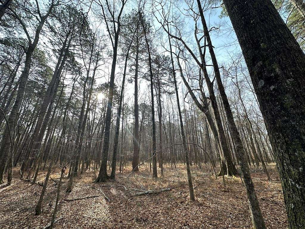 11.6 Acres of Recreational Land for Sale in Ackerman, Mississippi