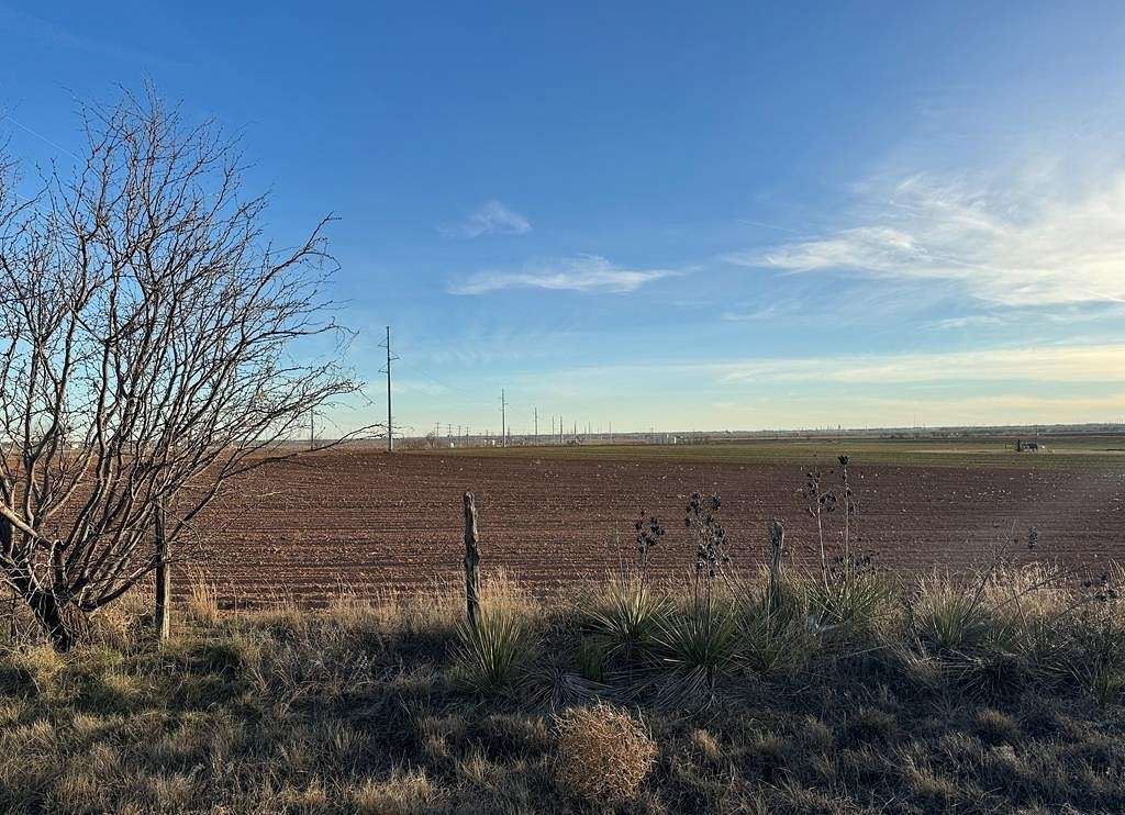 80.3 Acres of Agricultural Land for Sale in Snyder, Texas