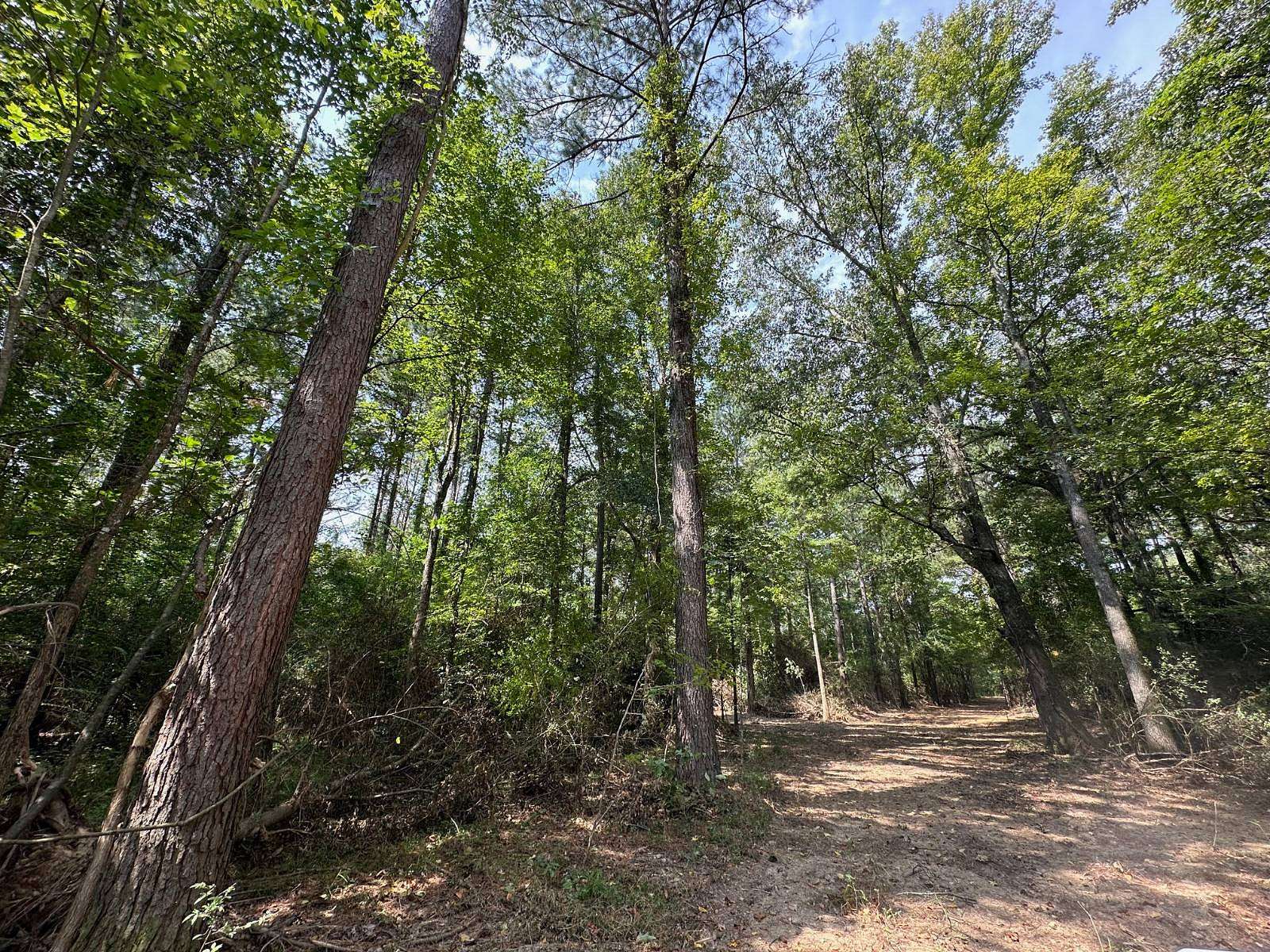 36 Acres of Recreational Land for Sale in Wesson, Mississippi