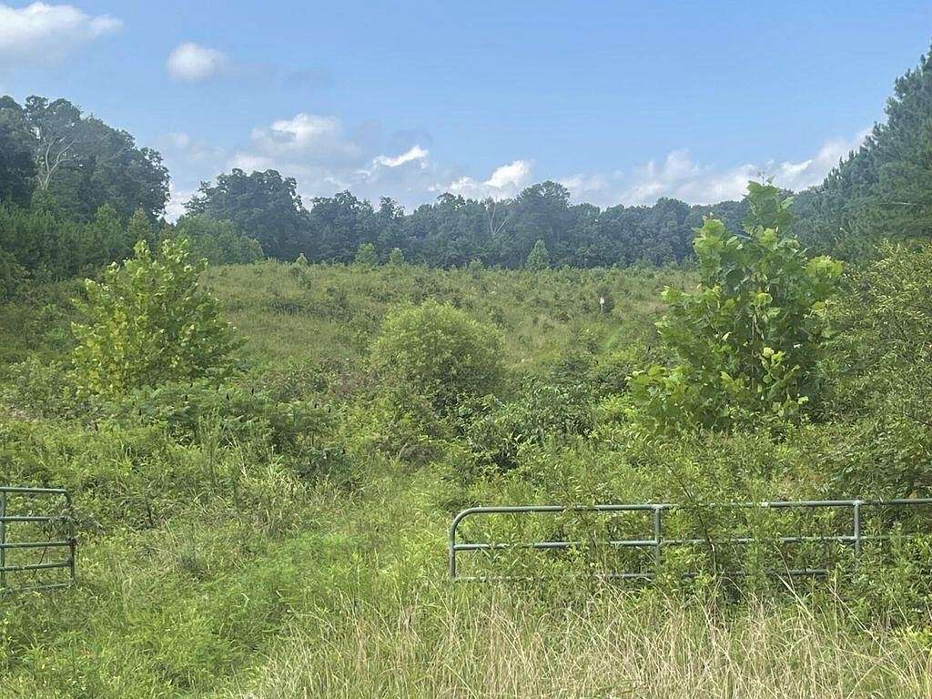 29 Acres of Land for Sale in Athens, Tennessee