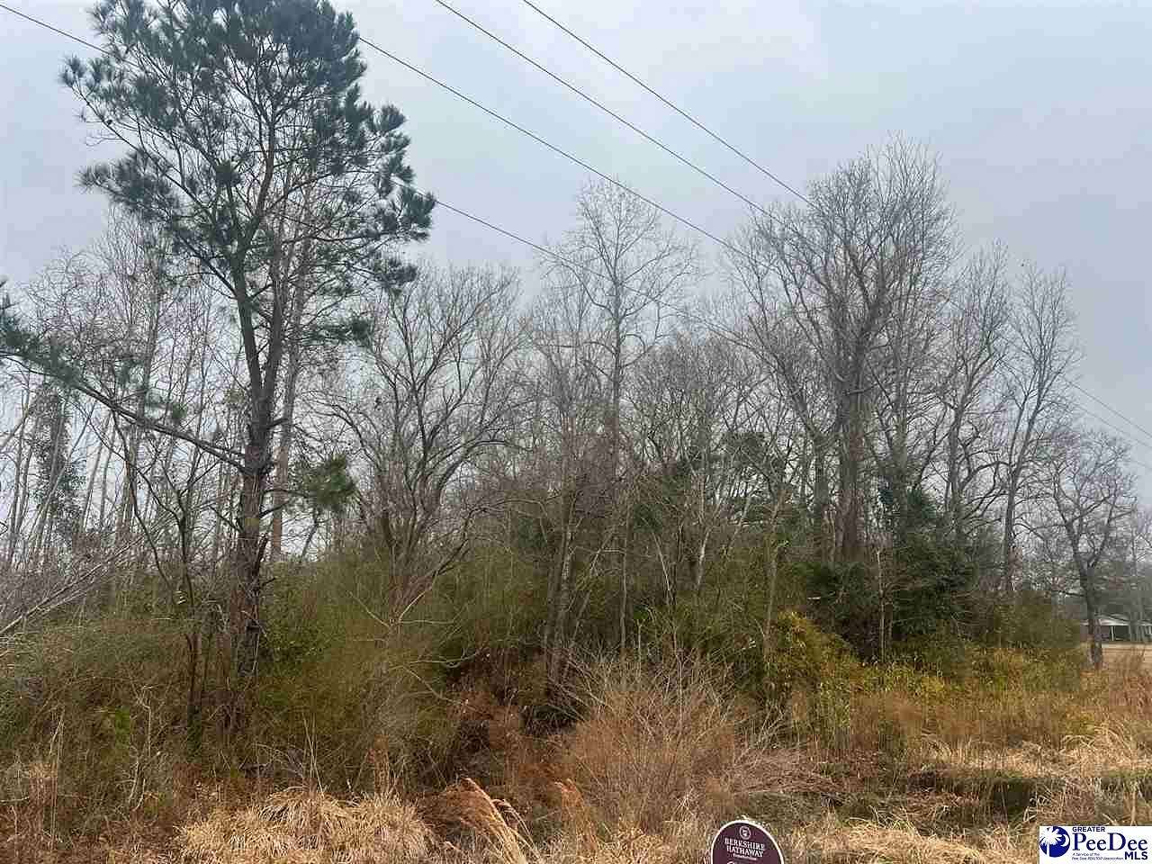 1.2 Acres of Residential Land for Sale in Longs, South Carolina