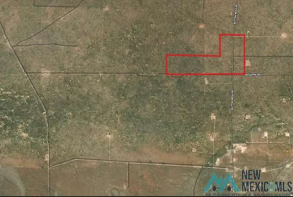 200 Acres of Recreational Land for Sale in Tatum, New Mexico