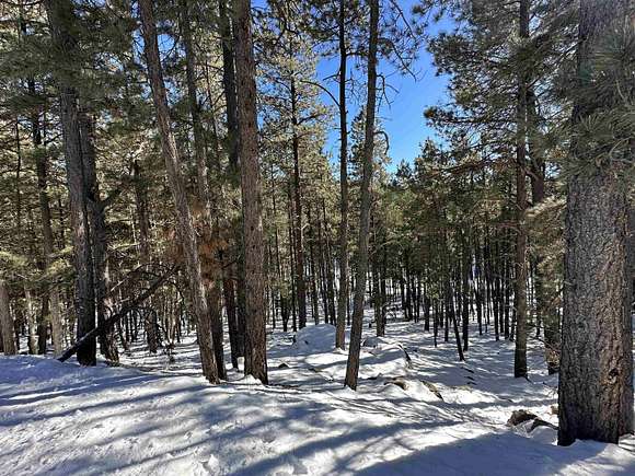 2.7 Acres of Commercial Land for Sale in Angel Fire, New Mexico