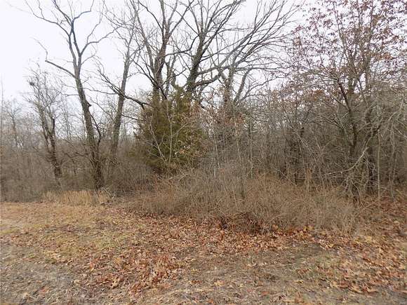 0.45 Acres of Residential Land for Sale in Bismarck, Missouri