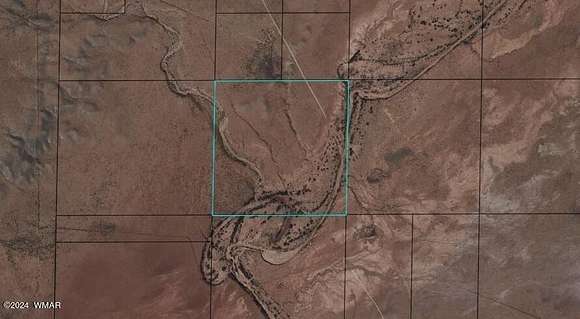 39.9 Acres of Recreational Land & Farm for Sale in Joseph City, Arizona