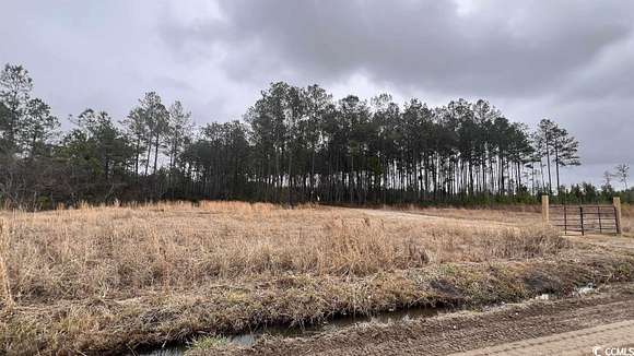 5 Acres of Residential Land for Sale in Conway, South Carolina