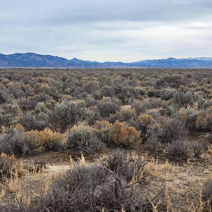 40 Acres of Agricultural Land for Sale in Beryl, Utah