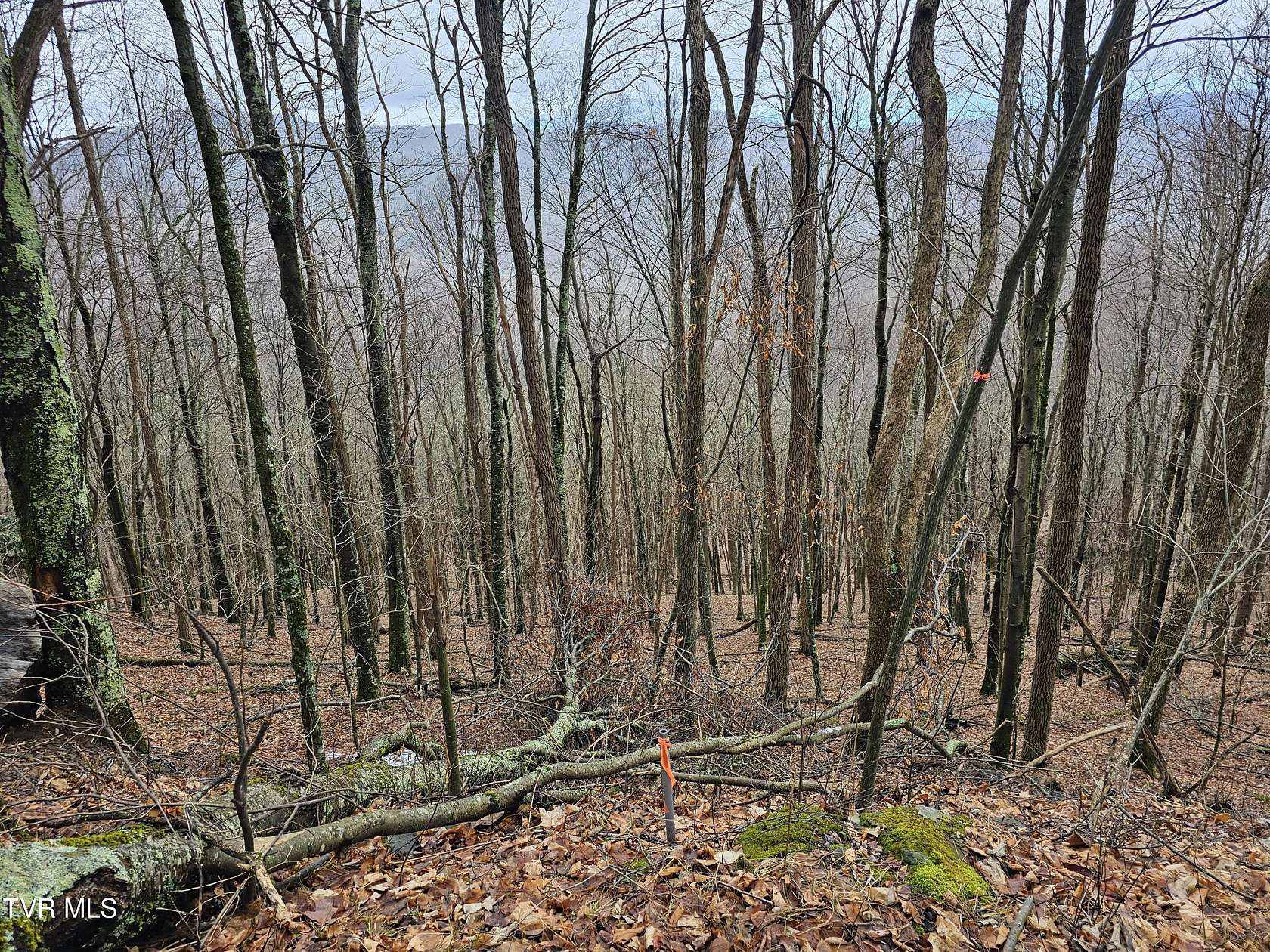 0.63 Acres of Residential Land for Sale in Roan Mountain, Tennessee
