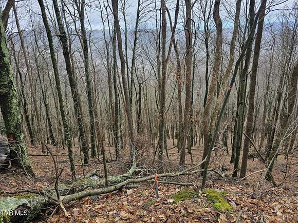 0.63 Acres of Residential Land for Sale in Roan Mountain, Tennessee