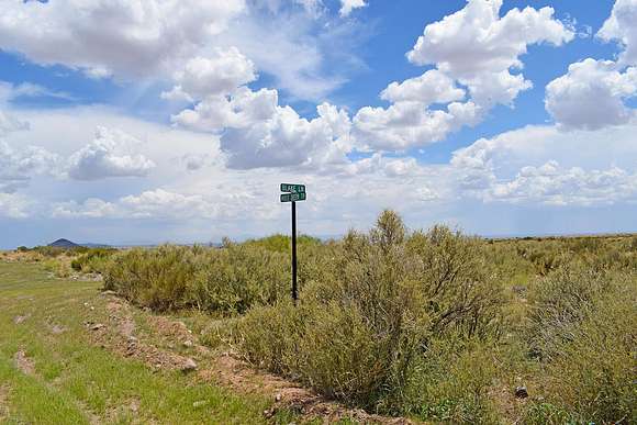 20.19 Acres of Land for Sale in San Antonio, New Mexico