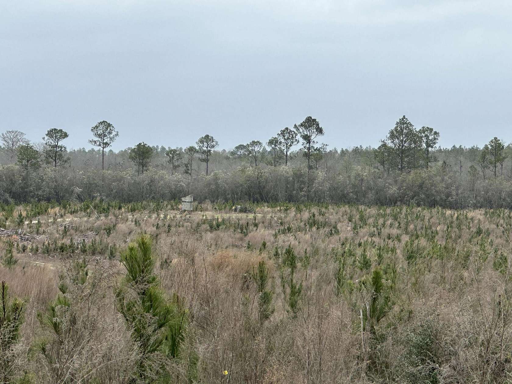 39.6 Acres of Recreational Land & Farm for Sale in Bonifay, Florida