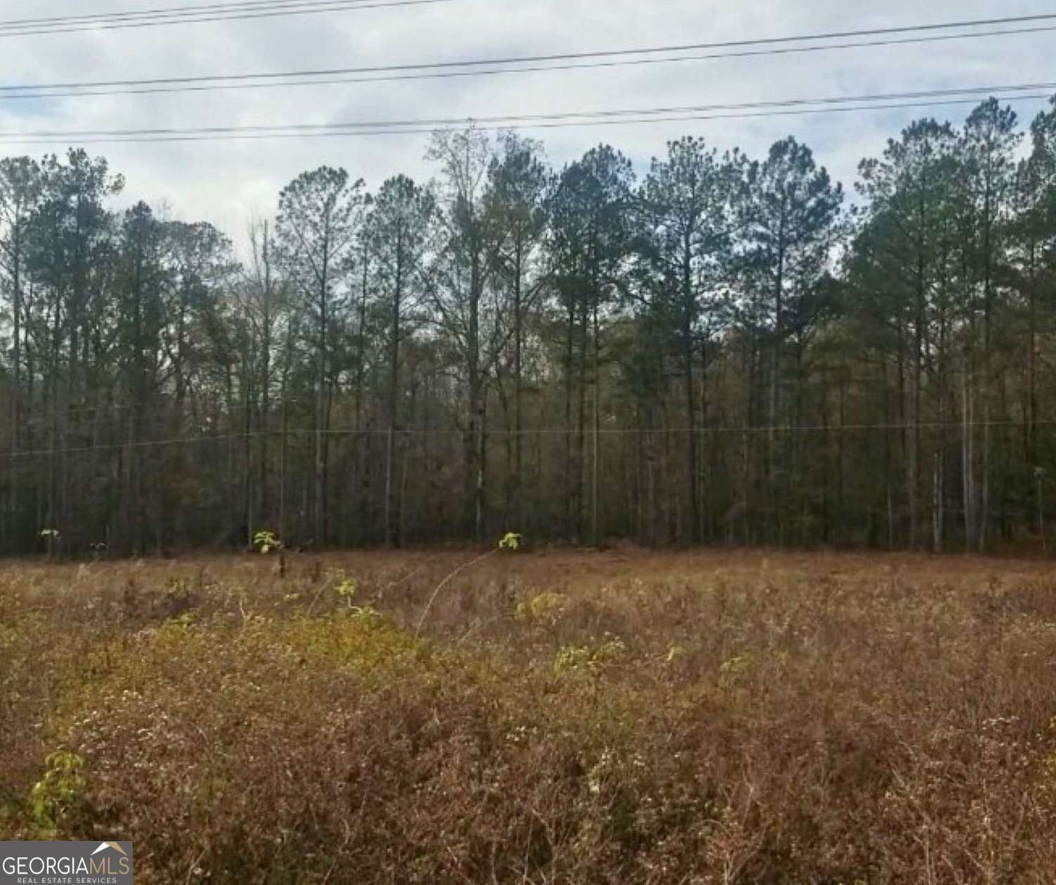 1.5 Acres of Residential Land for Sale in Hampton, Georgia