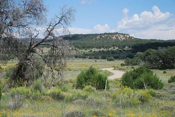 226 Acres of Recreational Land & Farm for Sale in Pie Town, New Mexico