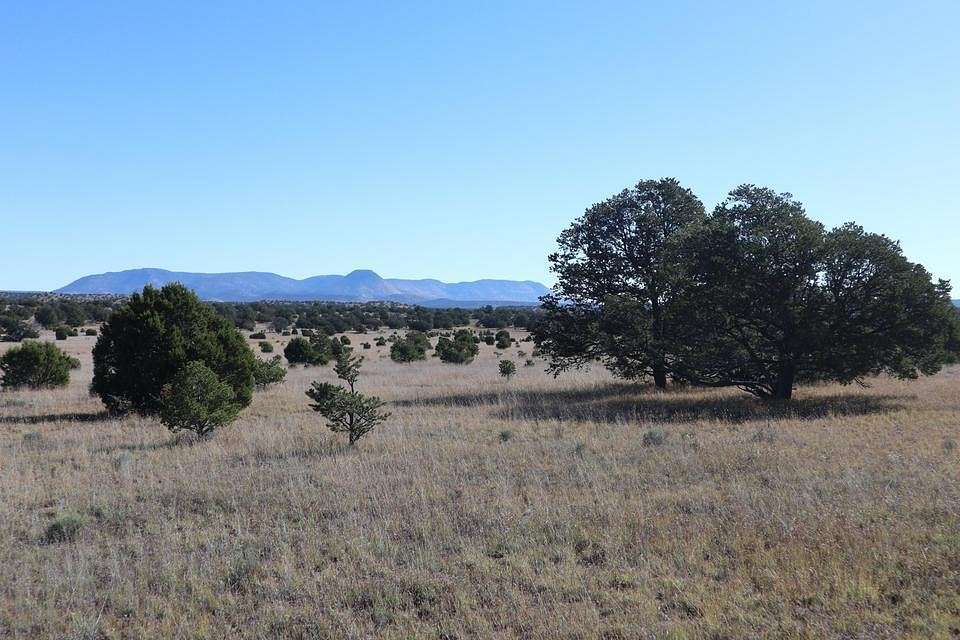18.4 Acres of Land for Sale in Datil, New Mexico